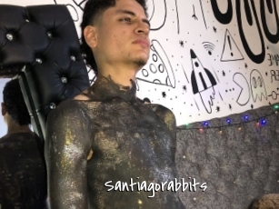 Santiagorabbits