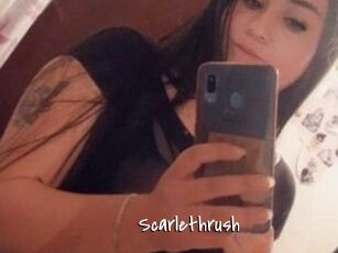 Scarlethrush