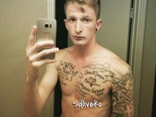 Sdlivekc