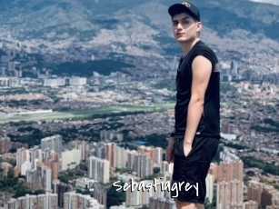 Sebastiagrey