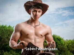 Sebastiancardenas