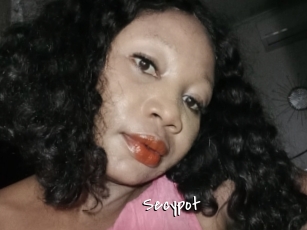 Secypot