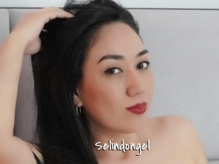 Selindongel