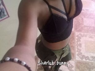 Sharlot_bunny