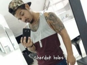 Sherdick_holes