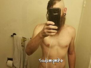 Sodomymike
