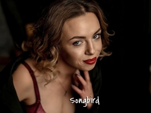 songbird Sexy Footjobs
