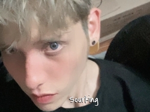 Sourking