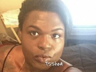 TS_Shea