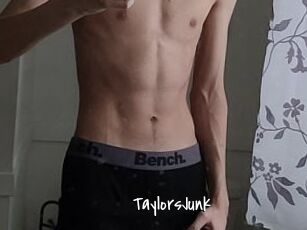 TaylorsJunk