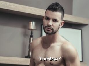 TeoBanner