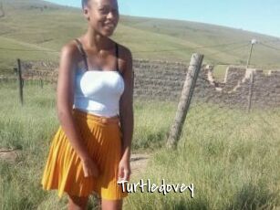 Turtledovey