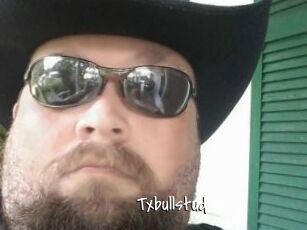 Txbullstud