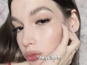 Tamipelligrini