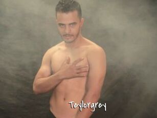Teylorgrey