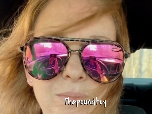 Thepoundtoy