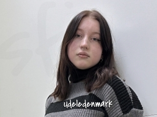 Udeledenmark