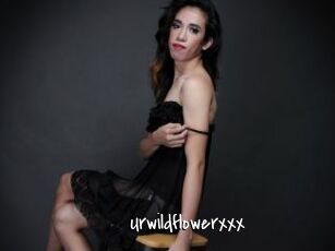 Urwildflowerxxx
