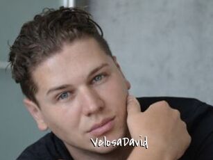 VelosaDavid