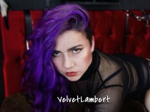 VelvetLambert