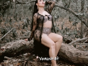 VenusKat