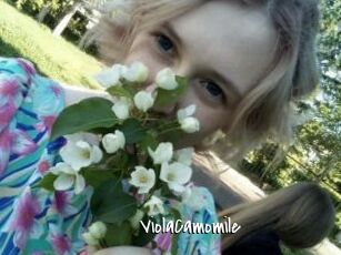 ViolaCamomile