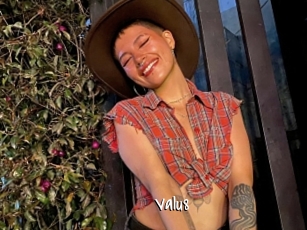 Valu8