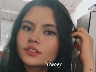 Vincegv