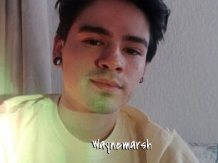 Waynemarsh