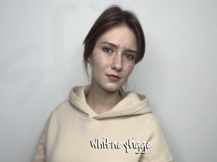 Whitneyfigge