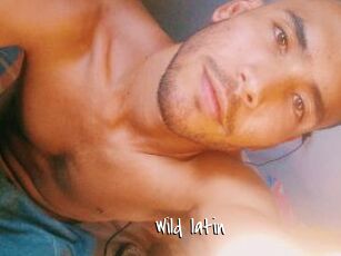 Wild_latin