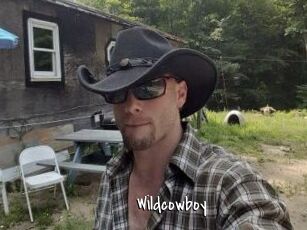 Wildcowboy