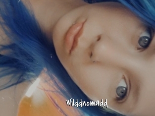 Wilddnomadd