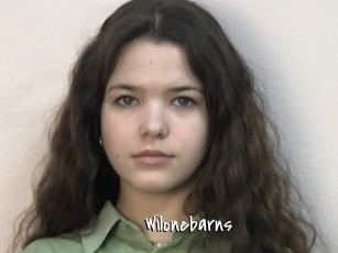 Wilonebarns