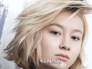Wilonefudge