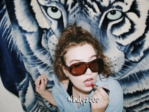 Windy2000