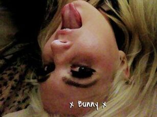 _x_Bunny_x_