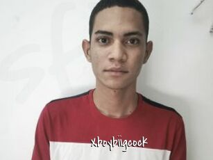 Xboybiigcock