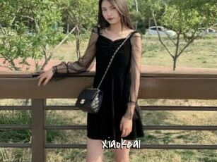 Xiaokea1