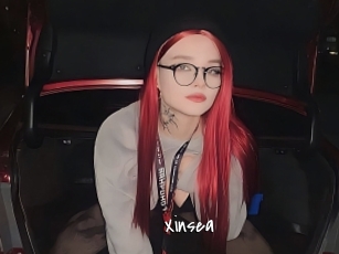 Xinsea