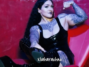 Xliaharachne