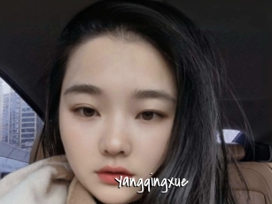 Yangqingxue