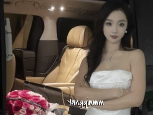 Yangqinmm