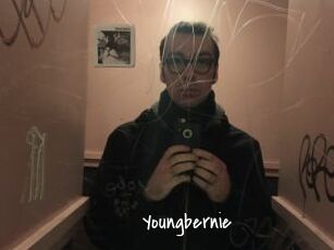 Youngbernie