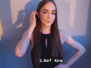 Zinet_new