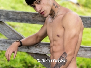 zactorricheli Sexy Footjobs