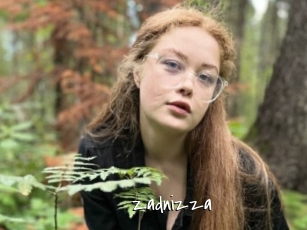Zadnizza