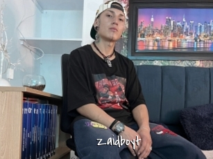 Zaidboyt